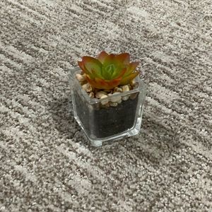 Artificial Succulent